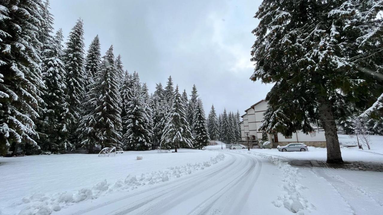 Апартамент Горска Приказка - Forest Tale سموليان المظهر الخارجي الصورة